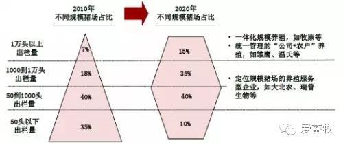 解读中国生猪养殖版图:生猪出栏最大的省份,规模化程度最高省份...