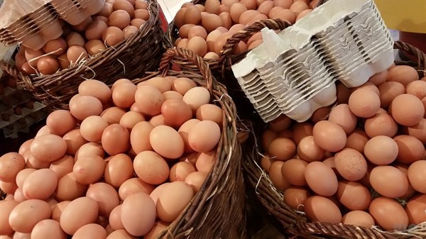 养殖产业：鹅蛋、鸡蛋、鸭蛋，哪种营养价值最高，对身体健康更有好处？