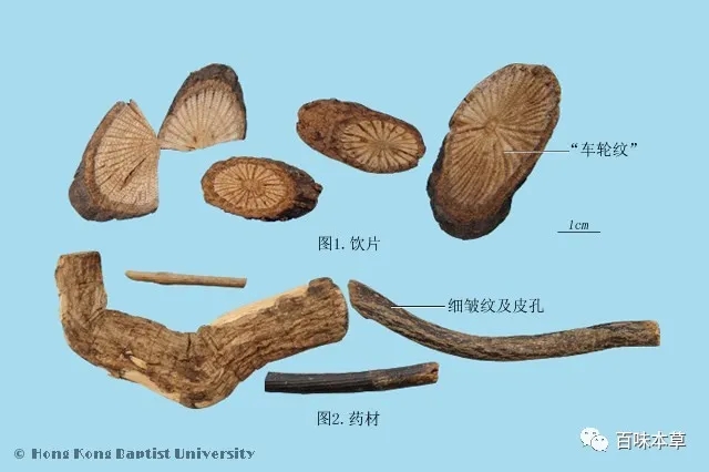 中药鉴定技术培训:专业的中药材鉴定图(藤木类)