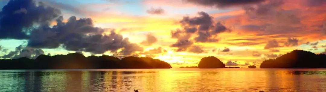 帕劳群岛:虾虎天堂-美丽的栖息环境